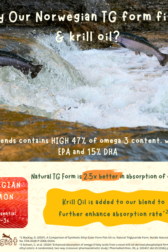 Artic Essence - Norwegian TG Omega Fish Oil & Krill Oil