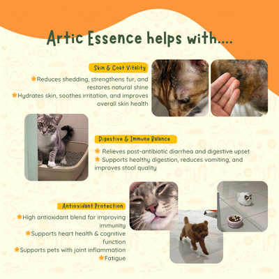 Artic Essence - Norwegian TG Omega Fish Oil & Krill Oil
