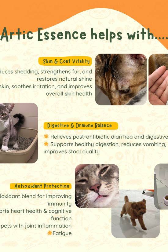 Artic Essence - Norwegian TG Omega Fish Oil & Krill Oil