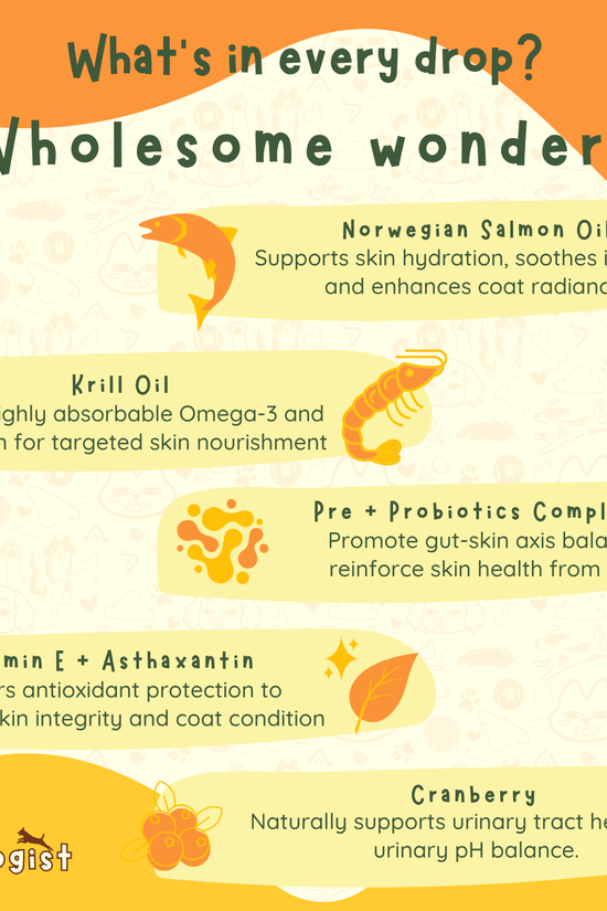 Artic Essence - Norwegian TG Omega Fish Oil & Krill Oil