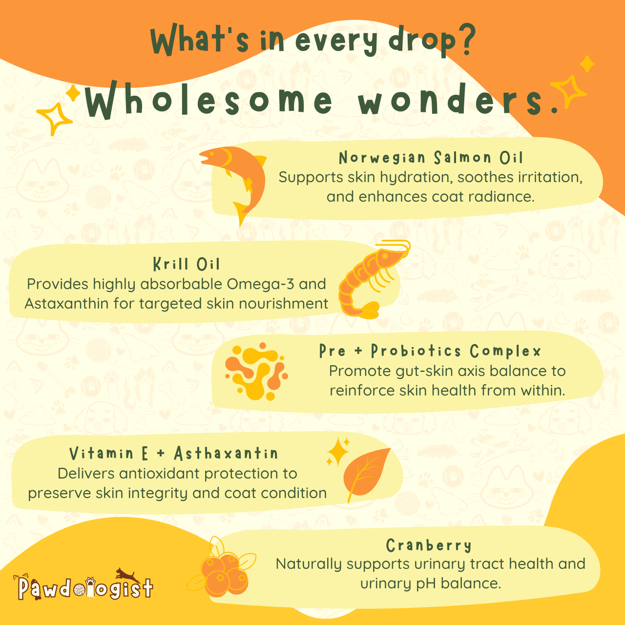 Artic Essence - Norwegian TG Omega Fish Oil & Krill Oil