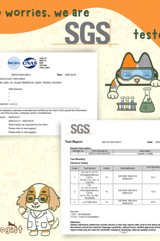 Artic Essence - Norwegian TG Omega Fish Oil & Krill Oil