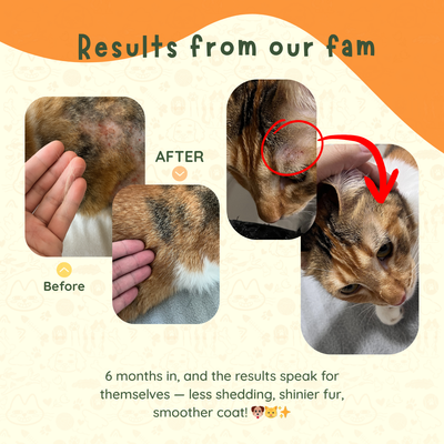 Artic Essence - Norwegian TG Omega Fish Oil & Krill Oil