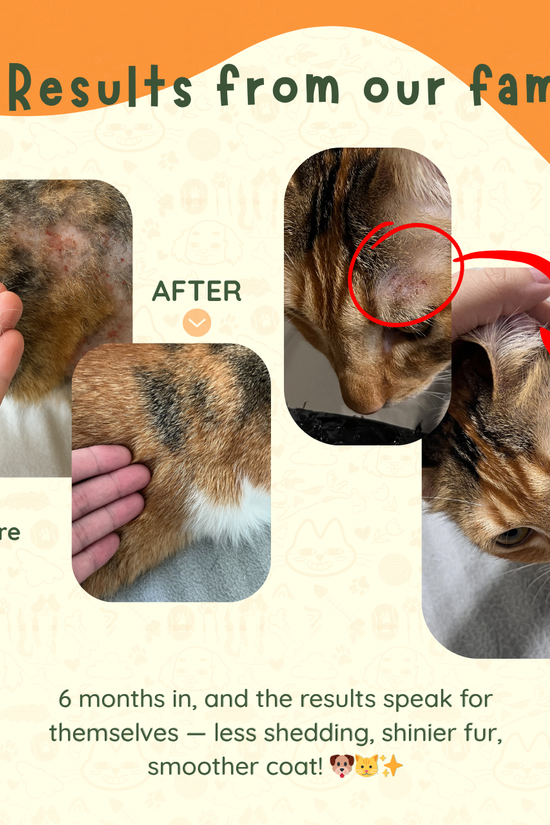 Artic Essence - Norwegian TG Omega Fish Oil & Krill Oil