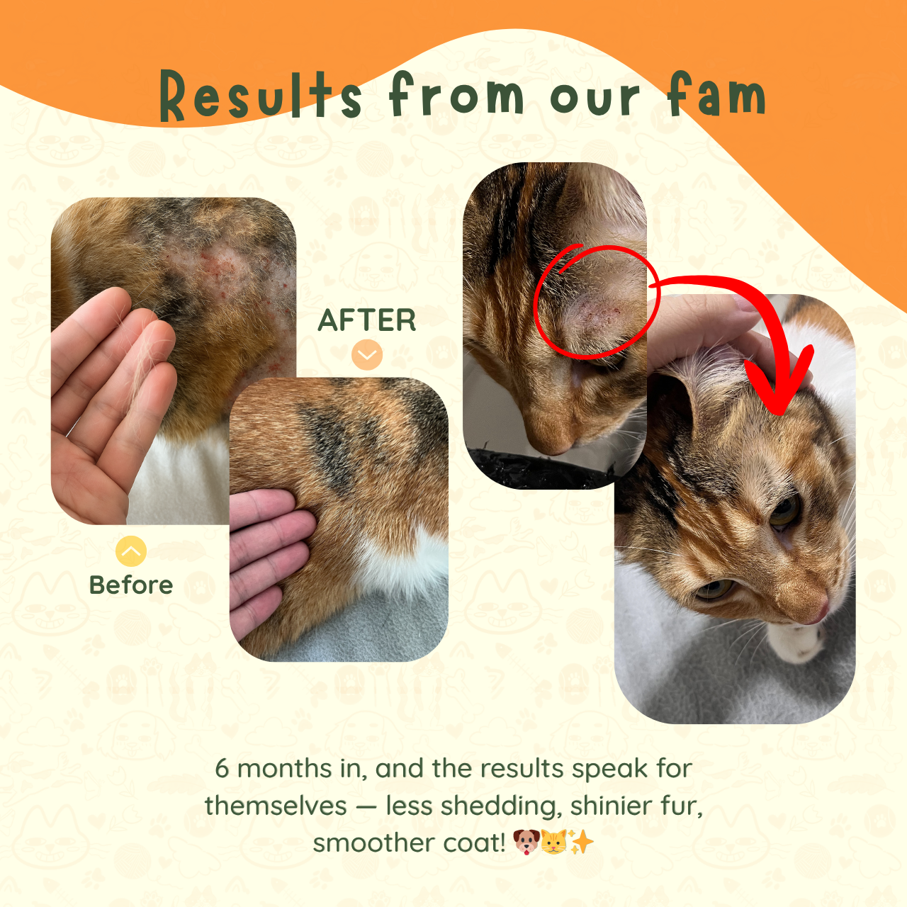 Artic Essence - Norwegian TG Omega Fish Oil & Krill Oil